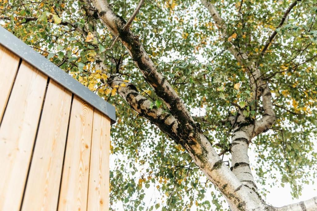 Carmen Eco-Pod / Treehouse, Close To Cabot Circus Бристоль Экстерьер фото